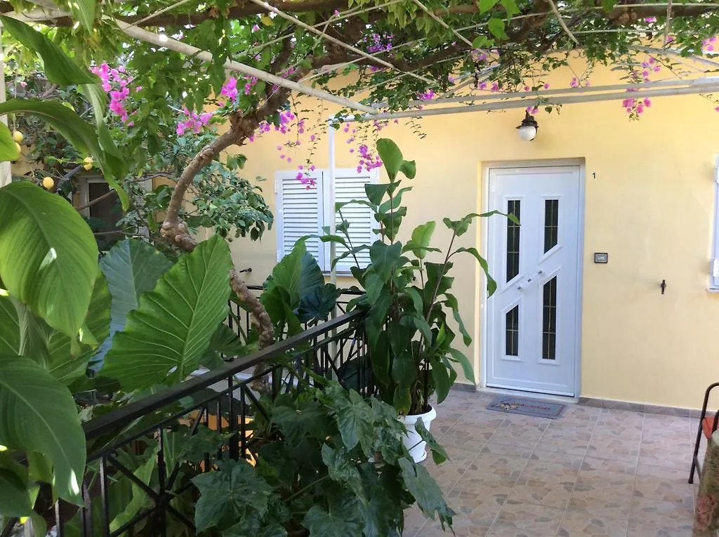 Europe Studios Zóla ギリシャ